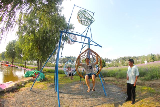 北京15个免费景点花海（属于夏天的紫色花海）(8)