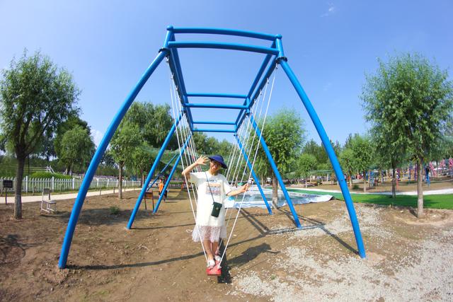 北京15个免费景点花海（属于夏天的紫色花海）(3)