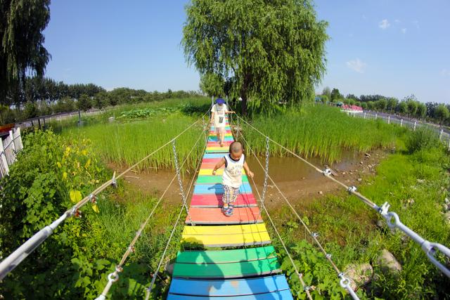 北京15个免费景点花海（属于夏天的紫色花海）(1)