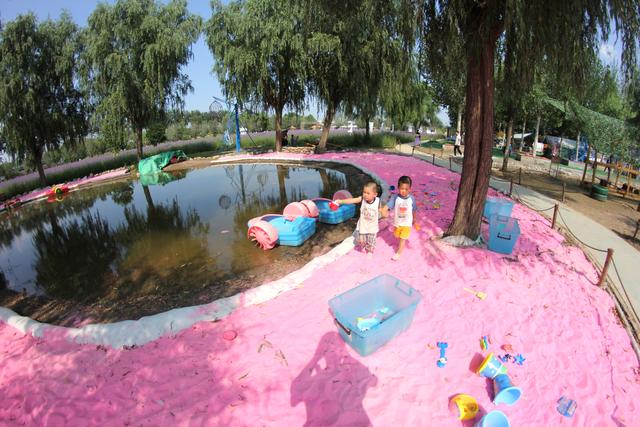 北京15个免费景点花海（属于夏天的紫色花海）(6)