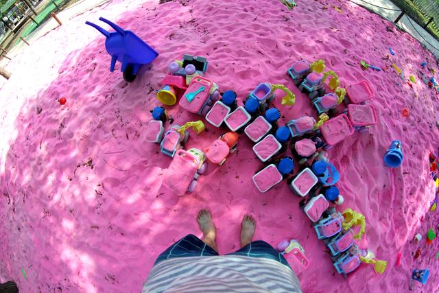 北京15个免费景点花海（属于夏天的紫色花海）(7)