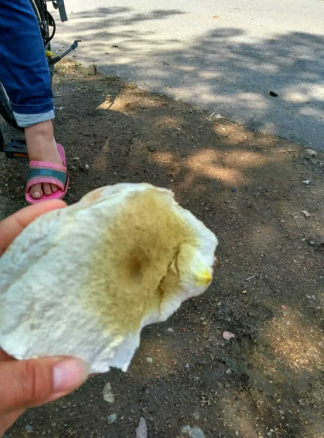 我是“马粪包”，是菇类家族的一员，你吃过没有？