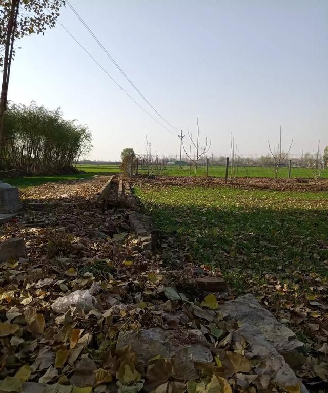 冬天是哪几个月到哪几个月，农村老人说的“冬至在月中，天寒也无霜；冬至在月尾，大寒正二月”是什么意思？图3