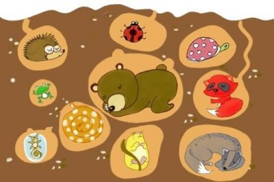 ​冬眠的动物有哪些(需要冬眠的15种动物)
