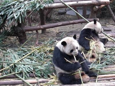 探访长沙生态动物园