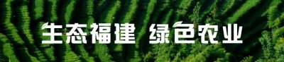 ​福建8大品牌上榜！安溪铁观音、武夷岩茶领衔排名