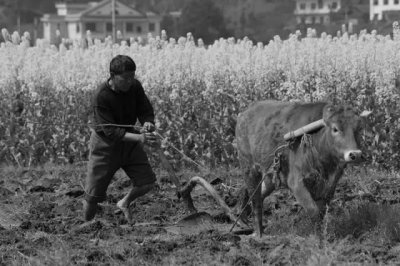 ​看图识农具：17种二三十年前的乡村农具，老农民也未必能都认出来