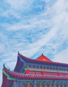 ​非你莫属李一舟（怎么看待抖音上的两个韭菜大户）