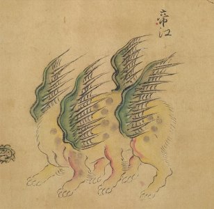 ​《山海经》中“浑敦无面目”的帝江，原型是什么？