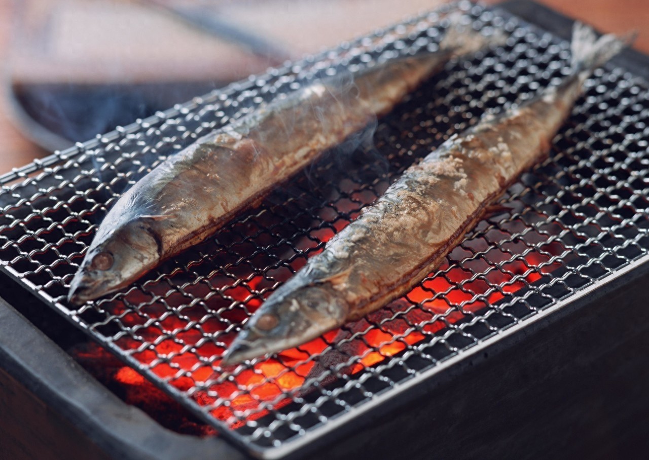 秋刀鱼的滋味~~猫和你都想了解~到了吃秋刀鱼的季节了