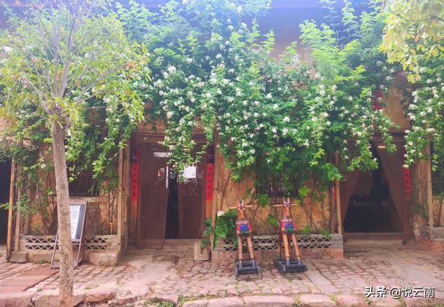 沙溪有什么好玩的景点(沙溪旅游攻略吃什么玩什么通通告诉你)(4)