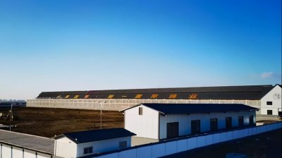 ​霸气！90后女生创办山东烟台首家赛鸽公棚