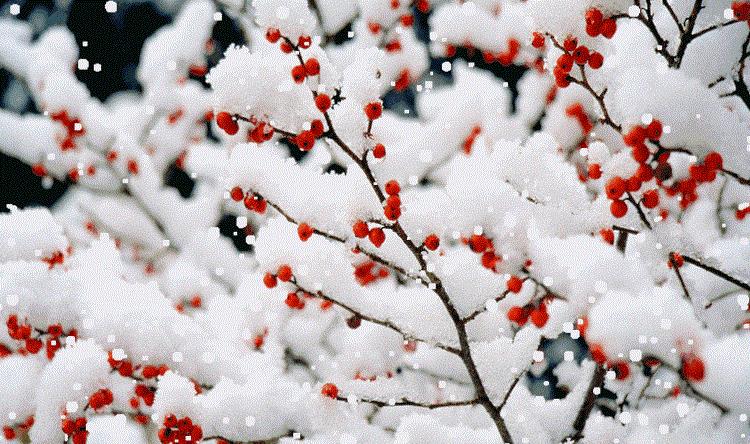 读狗肉将军张宗昌的这首诗, 能惊得李白掩面, 气得鬼神吐血