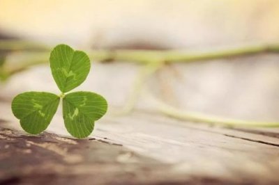 ​反正是你的人怎么幽默回复？反正是你的陪伴让我不安