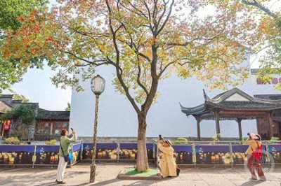 ​“秋意”（391） | 上游主题摄影征稿作品展——史俊作品