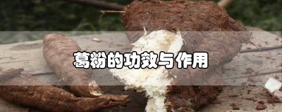 ​葛粉的功效与作用禁忌什么人不能吃葛粉 山药粉的功效与作用