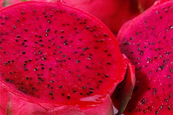 红心火龙果弄在衣服上怎么去掉 红心火龙果可以用来染色吗 红心火龙果弄在衣服上怎么去掉 红心火龙果可以用来染色吗