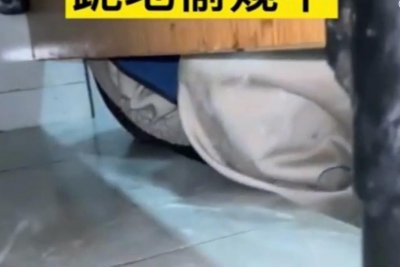 ​安徽滁州：男子跪地偷窥女厕所被拍下偷窥过程