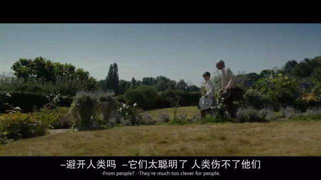 福尔摩斯经典的电影(众多福尔摩斯电影里)(17)