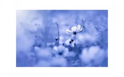 ​吵架说什么让女朋友感动