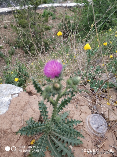 涉县最美的公路（圣福天路）一路风光秀丽，睛空万里，白云朵朵