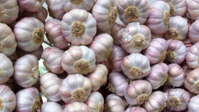 ​＂紧盯大蒜市场，抢先一步！2024年行情预测曝光，赚取丰厚回报