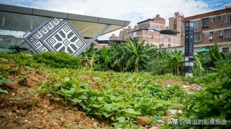 南宁淡村菜市有地铁吗「南宁最荒凉地铁站通达农村菜地出站即可下地干活」