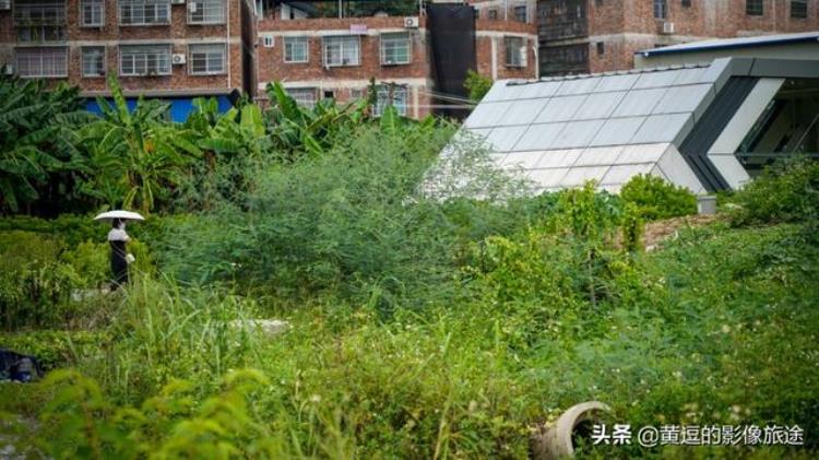 南宁淡村菜市有地铁吗「南宁最荒凉地铁站通达农村菜地出站即可下地干活」