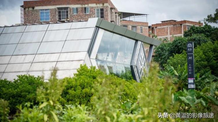 南宁淡村菜市有地铁吗「南宁最荒凉地铁站通达农村菜地出站即可下地干活」