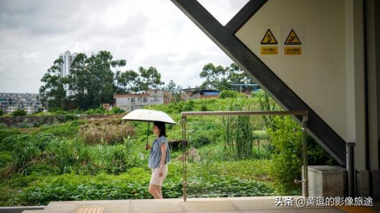 南宁淡村菜市有地铁吗「南宁最荒凉地铁站通达农村菜地出站即可下地干活」