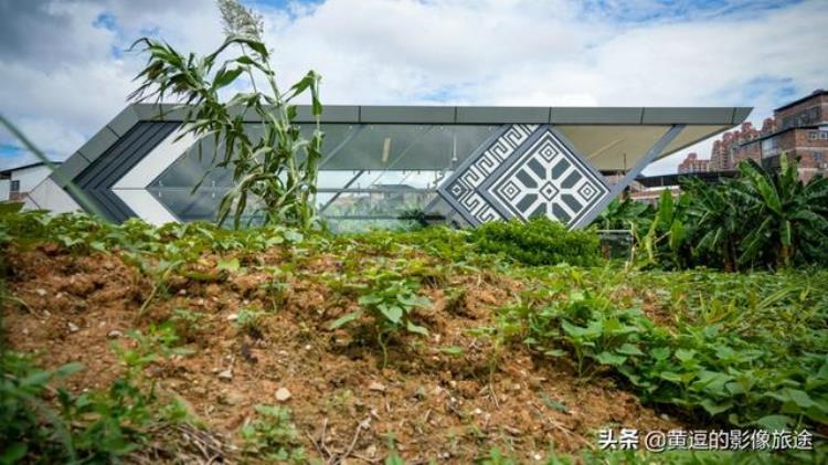 南宁淡村菜市有地铁吗「南宁最荒凉地铁站通达农村菜地出站即可下地干活」