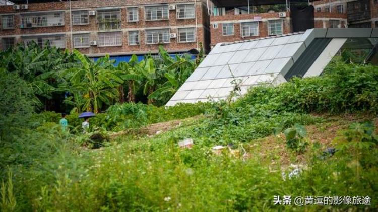 南宁淡村菜市有地铁吗「南宁最荒凉地铁站通达农村菜地出站即可下地干活」