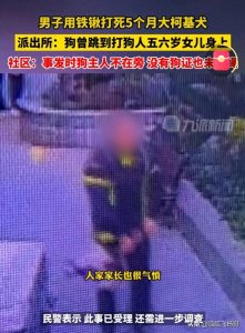 ​后续，持铲打狗男子女儿遭到爱狗人士骚扰:你爸爸是好人吗