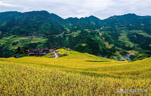 加榜梯田，贵州大山里的明珠，被誉为中国最好梯田之一
