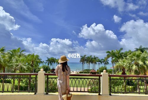 抖音整个夏天想和你环游世界是什么歌谁唱的歌词