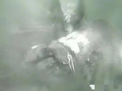 ​妻子太过风流被情夫杀害，替她丈夫抱不平。