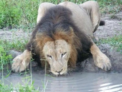 ​坏男孩联盟kt之死