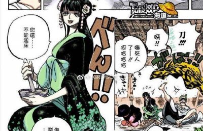 ​《海贼王》日和成为索隆的新cp？你问过山治他们没？