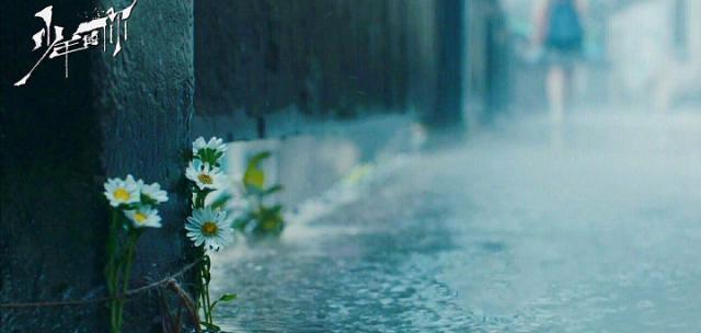 少年的你开场白台词截图(这个鲜花诠释的细节)(4)