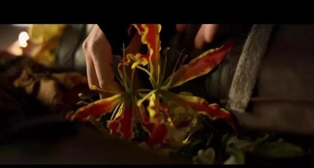 少年的你开场白台词截图(这个鲜花诠释的细节)(10)