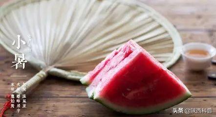 俗语小暑雨如银大暑雨如金（小暑小暑一声雷）(14)