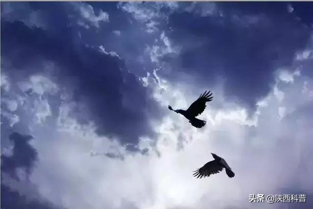 俗语小暑雨如银大暑雨如金（小暑小暑一声雷）(5)