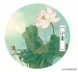 俗语小暑雨如银大暑雨如金（小暑小暑一声雷）(1)