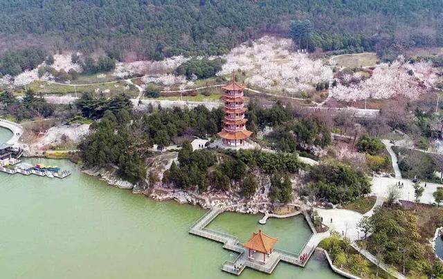 徐州一日游攻略必去景点(冬游徐州4大线路发布)(6)