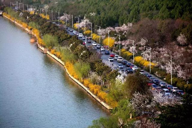 徐州一日游攻略必去景点(冬游徐州4大线路发布)(5)