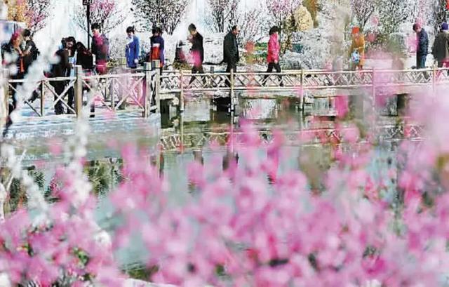 徐州一日游攻略必去景点(冬游徐州4大线路发布)(16)