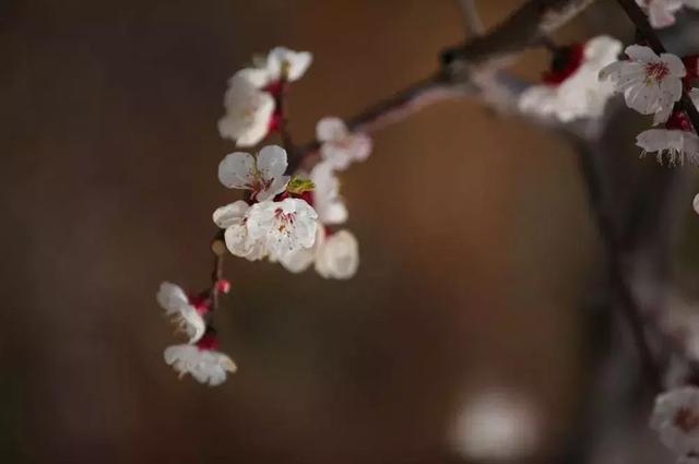 徐州一日游攻略必去景点(冬游徐州4大线路发布)(15)