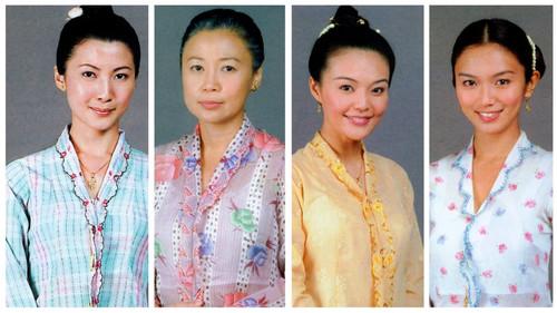 马来西亚 娘惹文化(新加坡地区富贵)(13)