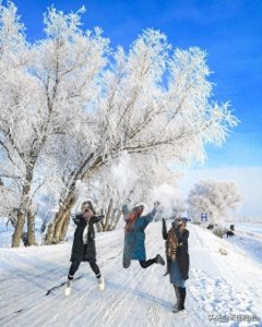 ​杂谈 | 人要脸树要皮