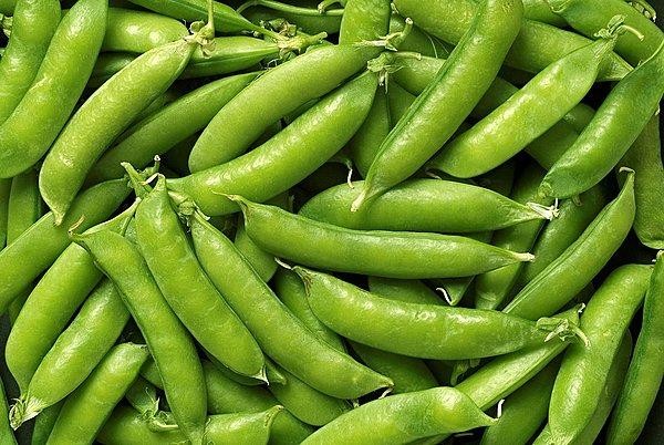 荷兰豆甜脆清香(甜豆豌豆荷兰豆傻傻的分不清楚)(2)